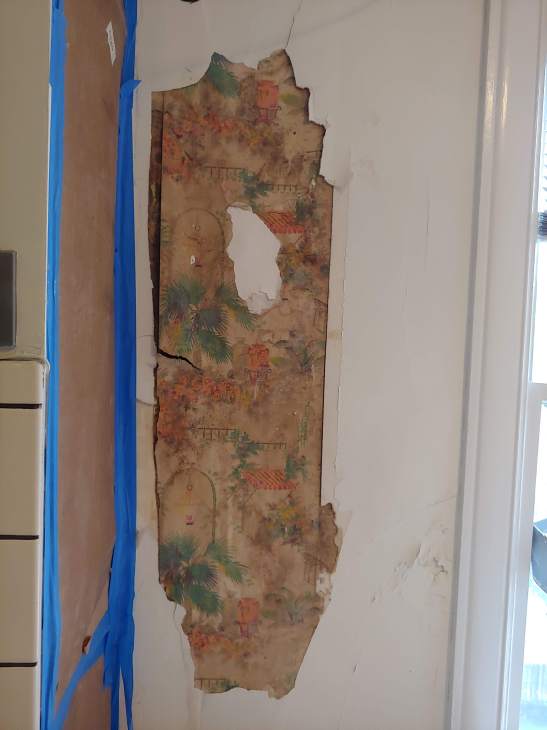 Wallpaper 6 Wallpaper 20190322_090244